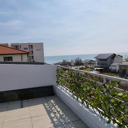 White Pearl -endless Summer * Navodari