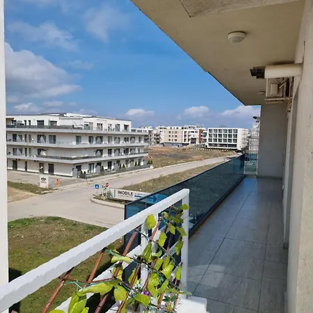 White Pearl -endless Summer Navodari