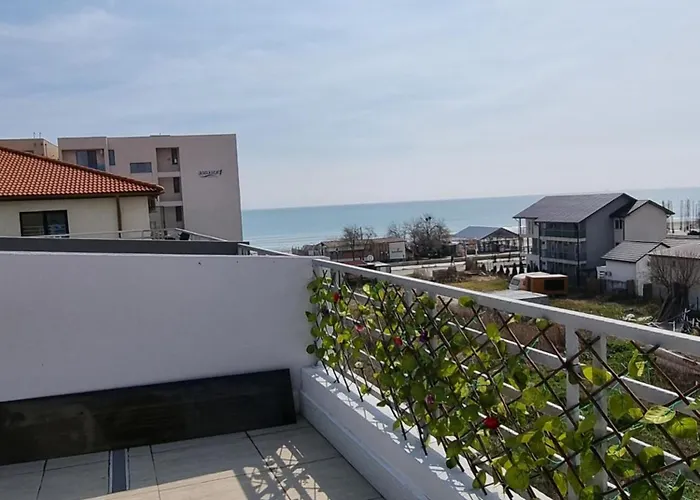 White Pearl -endless Summer * Navodari